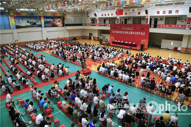 _YK_9128.JPG 原来名称也丢了