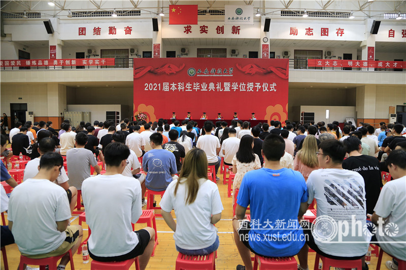 _YK_8432.JPG 原来名称也丢了